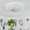 Auxerre Lampa Sufitowa LED Biały, 2-punktowe, Zdalne sterowanie, Zmieniacz kolorów