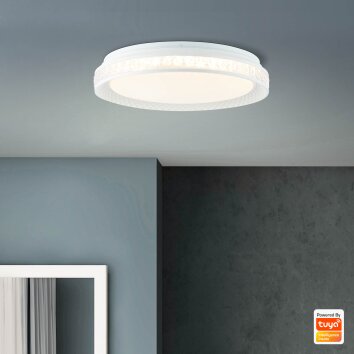 Brilliant Burlie Lampa Sufitowa LED Biały, 1-punktowy, Zdalne sterowanie, Zmieniacz kolorów