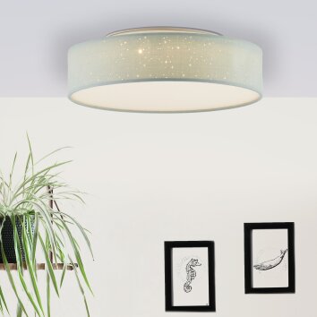 Brilliant Baska Lampa Sufitowa LED Srebrny, 1-punktowy