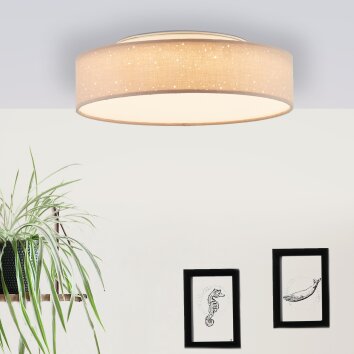 Brilliant Baska Lampa Sufitowa LED Srebrny, 1-punktowy