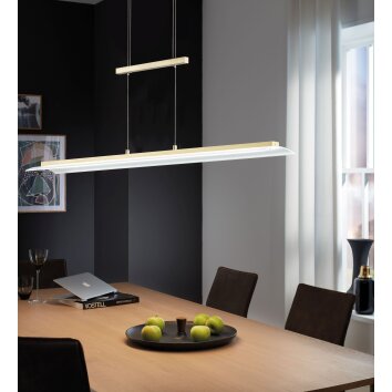 Fischer & Honsel ROOF Lampa Wisząca LED Mosiądz, 1-punktowy