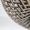 Steinhauer Maze Lampa Sufitowa Ecru, Czarny, 1-punktowy