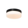 Steinhauer Ikaro Lampa Sufitowa LED czarny, 1-punktowy