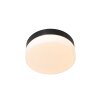 Steinhauer Ikaro Lampa Sufitowa LED czarny, 1-punktowy