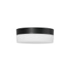 Steinhauer Ikaro Lampa Sufitowa LED czarny, 1-punktowy