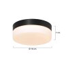 Steinhauer Ikaro Lampa Sufitowa LED czarny, 1-punktowy