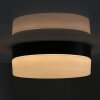 Steinhauer Ikaro Lampa Sufitowa LED czarny, 1-punktowy