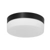 Steinhauer Ikaro Lampa Sufitowa LED czarny, 1-punktowy