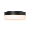 Steinhauer Ikaro Lampa Sufitowa LED czarny, 1-punktowy