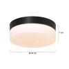 Steinhauer Ikaro Lampa Sufitowa LED czarny, 1-punktowy