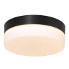 Steinhauer Ikaro Lampa Sufitowa LED czarny, 1-punktowy