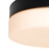 Steinhauer Ikaro Lampa Sufitowa LED czarny, 1-punktowy