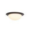 Steinhauer Ikaro Lampa Sufitowa LED czarny, 1-punktowy