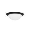Steinhauer Ikaro Lampa Sufitowa LED czarny, 1-punktowy