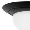 Steinhauer Ikaro Lampa Sufitowa LED czarny, 1-punktowy