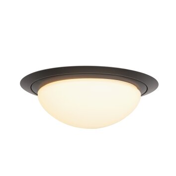 Steinhauer Ikaro Lampa Sufitowa LED czarny, 1-punktowy