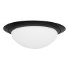 Steinhauer Ikaro Lampa Sufitowa LED czarny, 1-punktowy