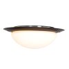 Steinhauer Ikaro Lampa Sufitowa LED czarny, 1-punktowy