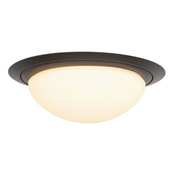 Steinhauer Ikaro Lampa Sufitowa LED czarny, 1-punktowy
