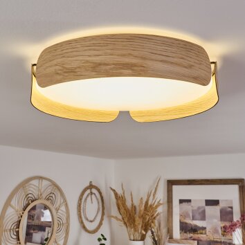 Fuscado Lampa Sufitowa LED Wygląd drewna, 1-punktowy