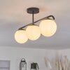 Litoral Lampa Sufitowa Czarny, 3-punktowe