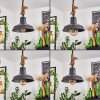 Nacate Lampa Wisząca Ecru, Czarny, 1-punktowy