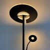 Fischer & Honsel Dent Lampa Stojąca LED Czarny, 1-punktowy