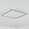 Wilderswil Lampa Sufitowa LED Biały, 1-punktowy
