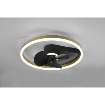 Reality Borgholm wentylator sufitowy LED Złoty, Czarny, 1-punktowy, Zdalne sterowanie