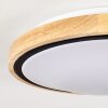 Corinto Lampa Sufitowa LED Ecru, Czarny, 1-punktowy