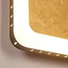 Guacacallo Lampa ścienna LED Złoty, Czarny, Biały, 1-punktowy
