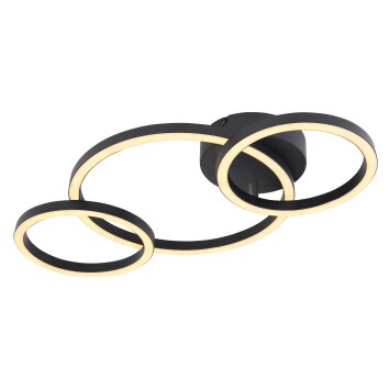 Globo REGGY Lampa Sufitowa LED czarny, 1-punktowy