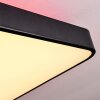Batamoto Lampa Sufitowa LED Czarny, Biały, 2-punktowe, Zdalne sterowanie, Zmieniacz kolorów