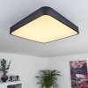 Batamoto Lampa Sufitowa LED Czarny, Biały, 2-punktowe, Zdalne sterowanie, Zmieniacz kolorów