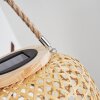 Conneaut Lampa solarna LED Brązowy, Jasne drewno, 1-punktowy