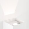 Brilliant Isak Zewnętrzny kinkiet LED Biały, 1-punktowy