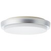 Brilliant Devora Lampa Sufitowa zewnętrzna LED Srebrny, 1-punktowy