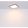 Globo SAPANA Lampa Sufitowa LED Czarny, 1-punktowy