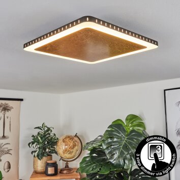 Guacacallo Lampa Sufitowa LED Złoty, Czarny, Biały, 1-punktowy