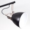 Gralingen Lampa Sufitowa nikiel matowy, czarny, 4-punktowe