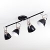 Gralingen Lampa Sufitowa nikiel matowy, czarny, 4-punktowe