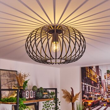 Trapichera Lampa Sufitowa Czarny, 1-punktowy