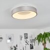 Playas Lampa Sufitowa LED Srebrny, Biały, 1-punktowy