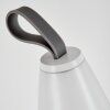 Yari Lampa stołowa LED Szary, Przezroczysty, Biały, 1-punktowy, Zdalne sterowanie, Zmieniacz kolorów