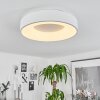 Playas Lampa Sufitowa LED Biały, 1-punktowy