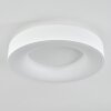 Playas Lampa Sufitowa LED Biały, 1-punktowy