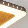 Guacacallo Lampa Sufitowa LED Złoty, Czarny, Biały, 1-punktowy