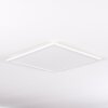 Boyero Lampa Sufitowa LED Biały, 1-punktowy