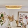 Tikkala Lampa Sufitowa LED kolory naturalne, 1-punktowy