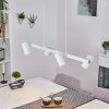 Zuoz Lampa Wisząca biały, 4-punktowe